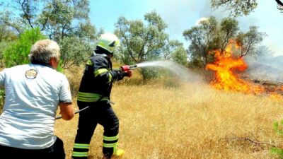 Muğla’nın Menteşe ilçesinde zeytinlik alanda çıkan yangın, hızlı ve koordineli