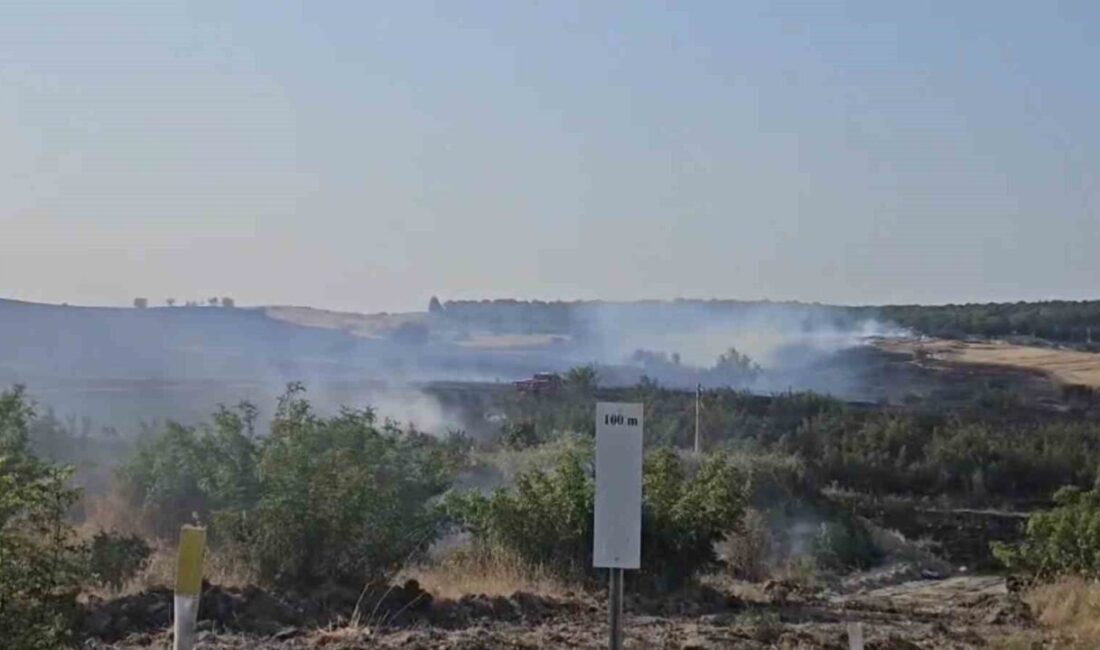 Balıkesir’in Kepsut ilçesinde, Osmaniye kırsal mahallesi yakınlarında tarım arazisinde akşam