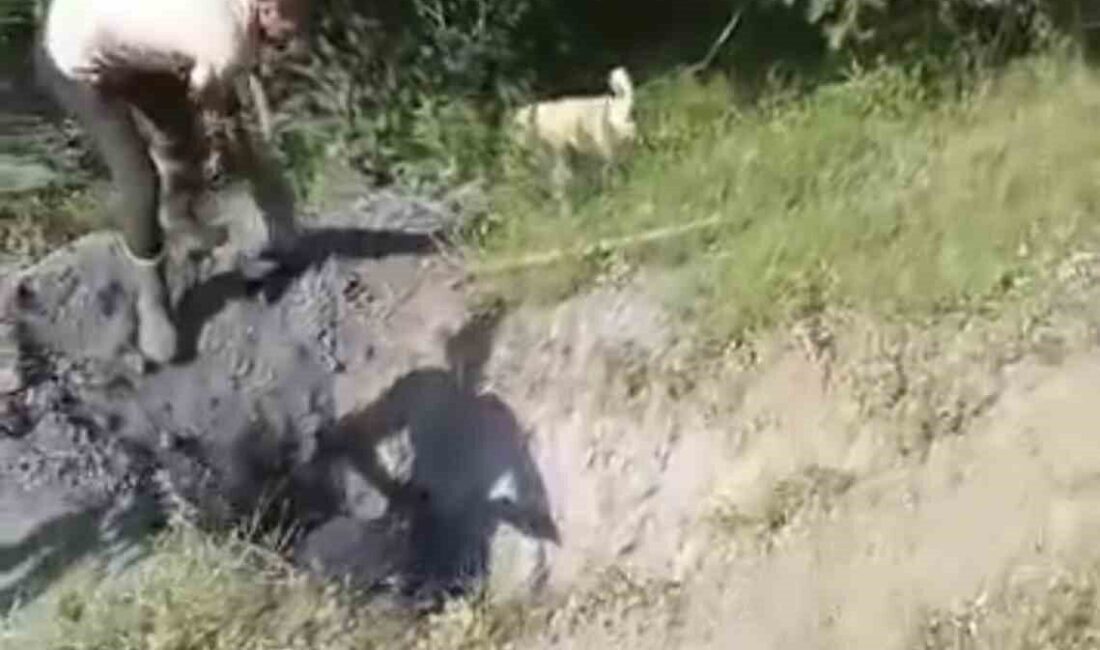İnegöl ilçesine bağlı Yeniceköy Mahallesi’nde bir kırsal alanda define arayıcıları