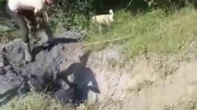 İnegöl ilçesine bağlı Yeniceköy Mahallesi’nde bir kırsal alanda define arayıcıları