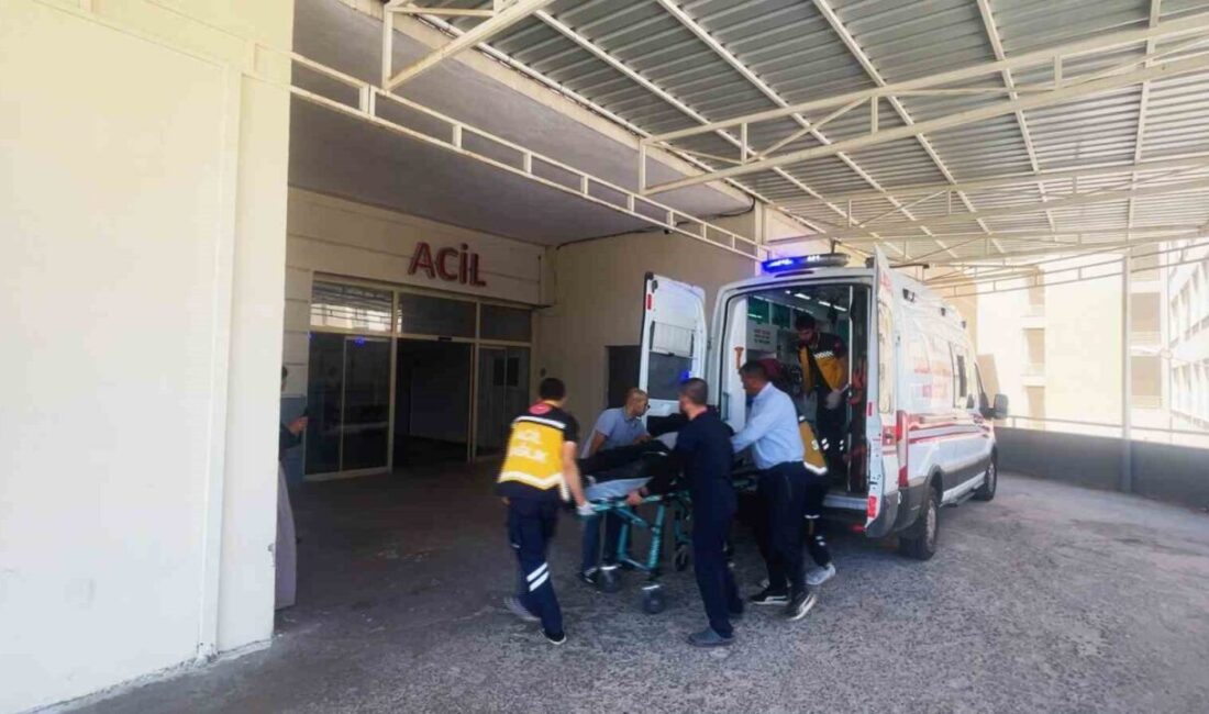 Siverek ilçesinde mercimek hasadında çalışan altı işçi, yedikleri yemekten sonra
