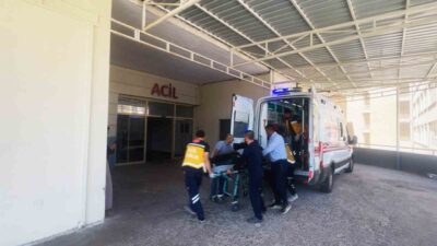 Siverek ilçesinde mercimek hasadında çalışan altı işçi, yedikleri yemekten sonra