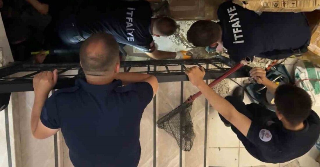 Edirne’de, bir kedinin merdiven boşluğuna sıkışmasıyla ortaya çıkan olayda, itfaiye
