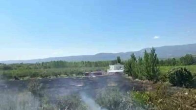 Mersin’in Mut ilçesinde meydana gelen bahçe yangınında yaklaşık 15 dönüm