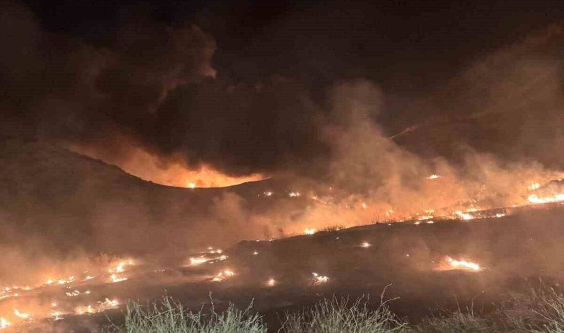 Mersin’in Mut ilçesinde belediyeye ait eski bir çöp döküm alanında