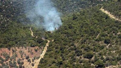 Muğla’nın Milas ilçesine bağlı Kazıklı Mahallesi Kazıklı Koyu’nda makilik alanda