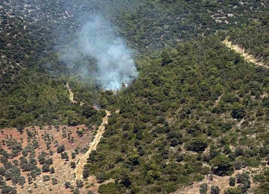 Muğla’nın Milas ilçesine bağlı Kazıklı Mahallesi Kazıklı Koyu’nda makilik alanda
