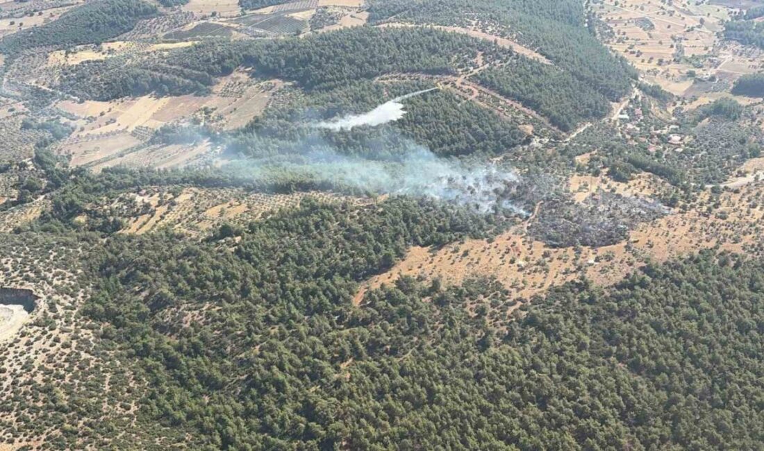 Muğla’nın Milas ilçesine bağlı Bağdamlar Mahallesi’nde çıkan yangın, hem havadan