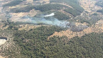 Muğla’nın Milas ilçesine bağlı Bağdamlar Mahallesi’nde çıkan yangın, hem havadan