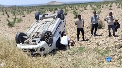 Şanlıurfa’nın Birecik ilçesine bağlı Güzelyurt Mahallesi yakınlarında meydana gelen bir