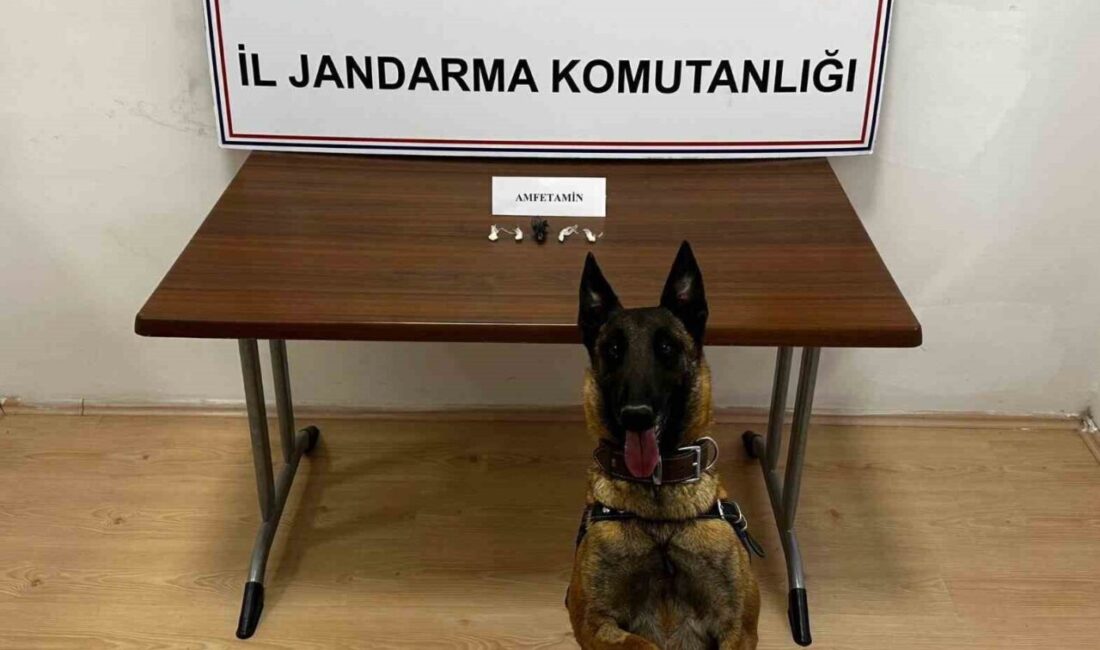 Bilecik’te jandarma ekipleri tarafından motosikletle uyuşturucu madde getirdikleri şüphesiyle değerlendirilen