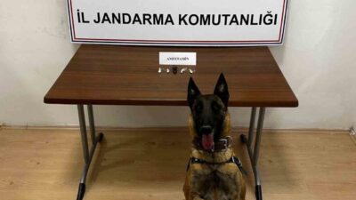 Bilecik’te jandarma ekipleri tarafından motosikletle uyuşturucu madde getirdikleri şüphesiyle değerlendirilen