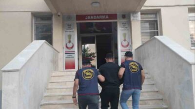 Muğla’da, Jandarma ekipleri bir hafta süren operasyonlar kapsamında 22 bin