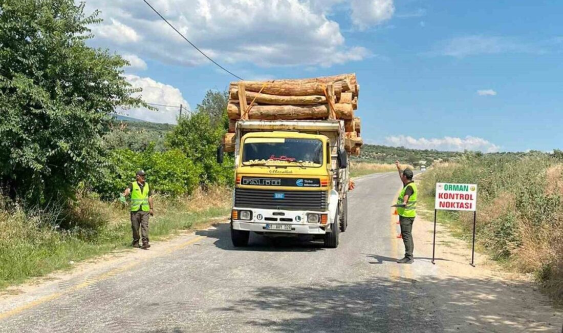 Muğla Orman Bölge Müdürlüğü, orman koruma ve orman suçlarıyla mücadele