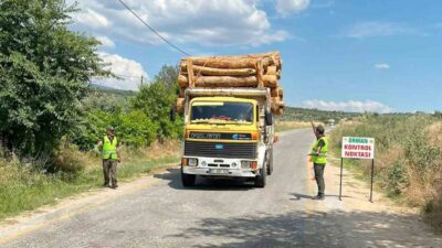 Muğla Orman Bölge Müdürlüğü, orman koruma ve orman suçlarıyla mücadele