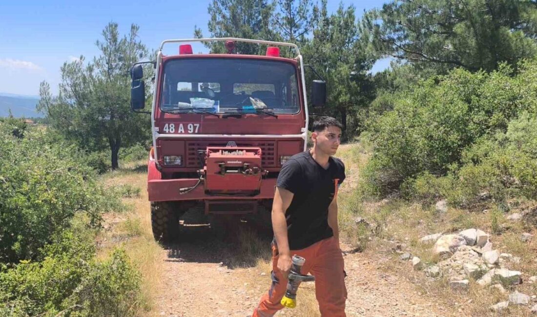 Menteşe ilçesindeki ormanlık alanda çıkan yangın, hızlı müdahale ile kontrol