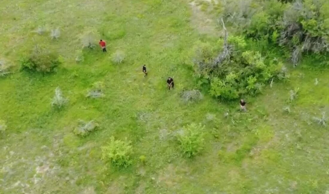 Eflani ilçesinde kaçak kazı yapıldığı iddia edilen şüpheliler, köy muhtarı
