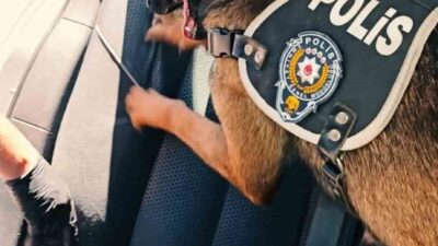 Muş’ta polis ekipleri tarafından yürütülen uyuşturucuyla mücadele operasyonunda bir araçta