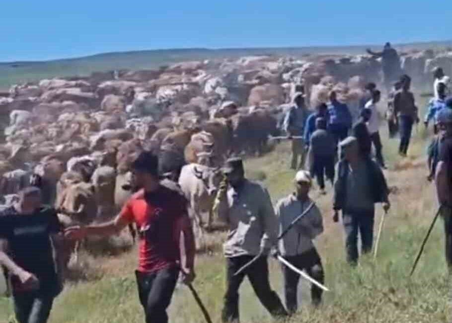 Muş’un merkezine bağlı Bostankent köyü ile Keçidere köyü arasında uzun