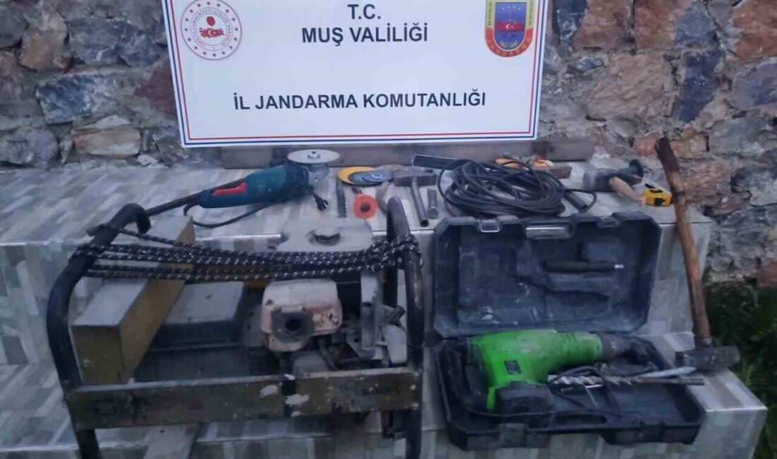 Muş’ta jandarma ekipleri tarafından gerçekleştirilen operasyonda kaçak kazı faaliyetleri yaptığı