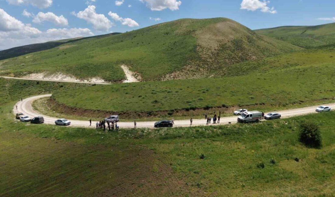 Muş’un Gündoğan köyünde çobanlık yapan 31 yaşındaki Mizgin Balıkçı, 11