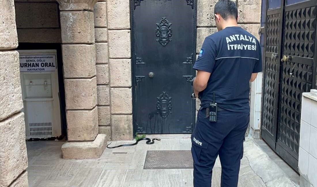 Antalya’da bir caminin abdest alan bölümüne giren 1,5 metre uzunluğundaki