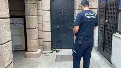 Antalya’da bir caminin abdest alan bölümüne giren 1,5 metre uzunluğundaki