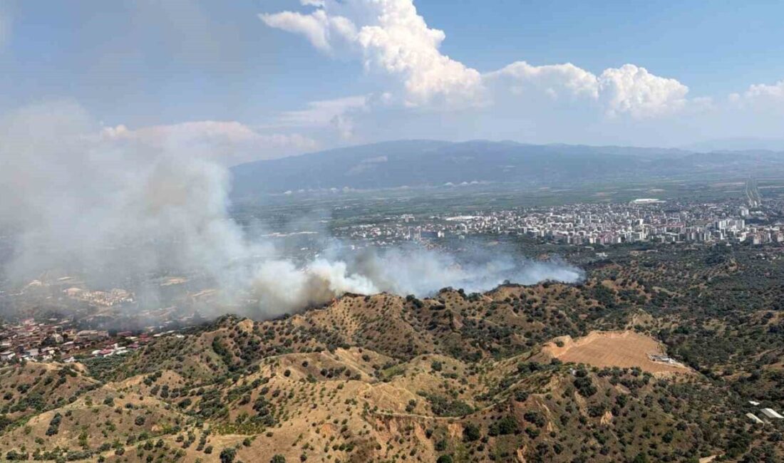 Aydın’ın Nazilli ilçesinde tarım arazisinde başlayan yangına hava ve karadan