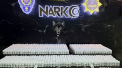 Niğde’de Narkotik ekipleri tarafından gerçekleştirilen operasyonlarda büyük miktarda uyuşturucu madde