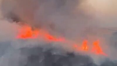 Oğuzeli ilçesine bağlı Kılavuz Mahallesi’nde bulunan bir buğday tarlasında yangın
