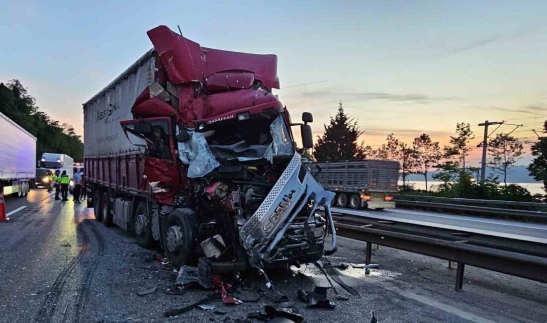 Sakarya’daki Anadolu Otoyolu geçişinde meydana gelen bir kaza sonucunda kamyon