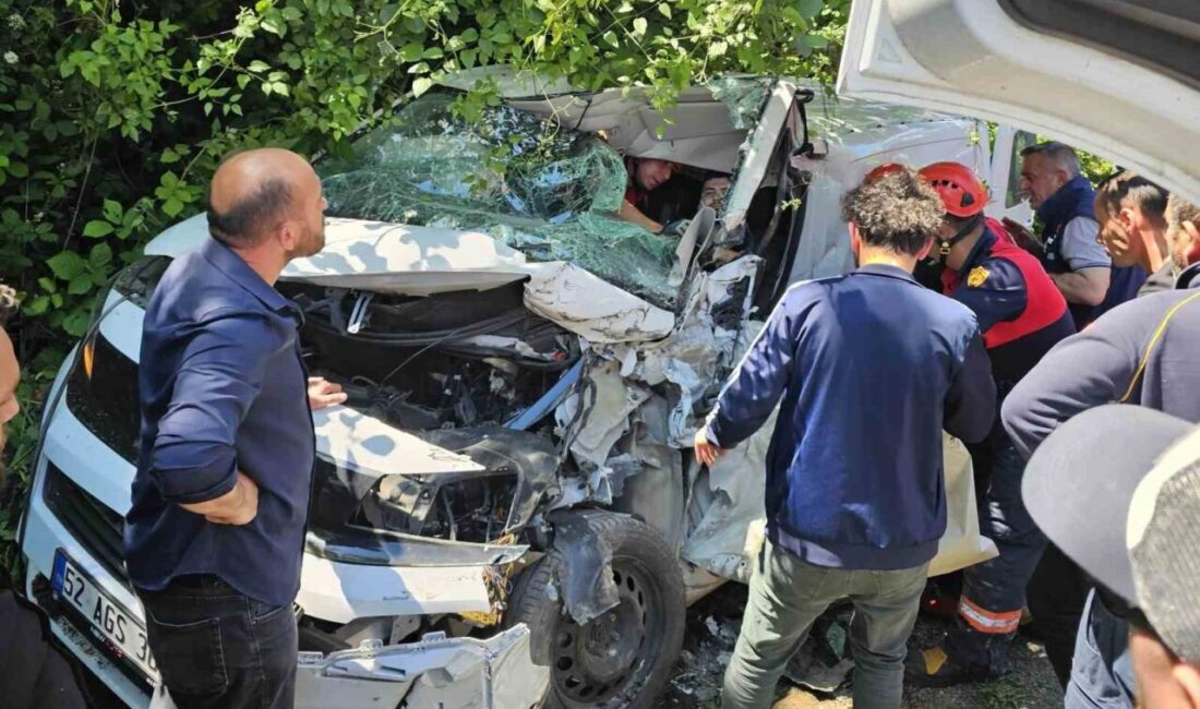 Ünye ilçesinde meydana gelen trafik kazasında çöp kamyonu ile hafif