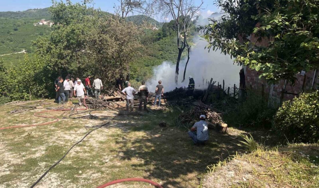 Ordu’nun Kumru ilçesinde bir samanlık, çıkan yangın nedeniyle kullanılamaz hale