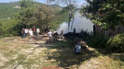 Ordu’nun Kumru ilçesinde bir samanlık, çıkan yangın nedeniyle kullanılamaz hale