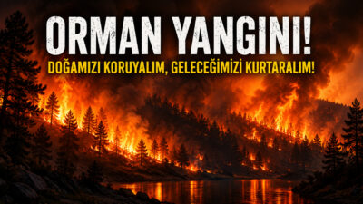 Yerköy İlçe Tarım ve Orman Müdürlüğü, havaların ısınmasıyla birlikte orman