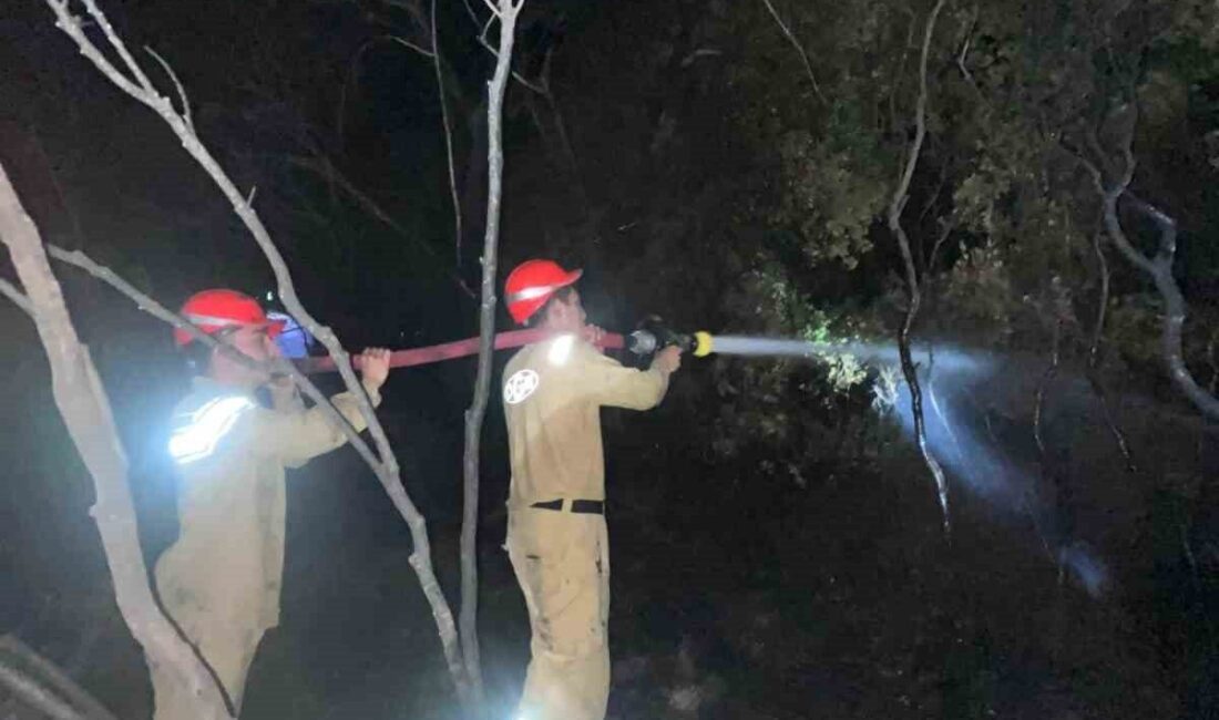 Muğla’nın Dalaman ilçesindeki ormanlık alanda çıkan yangın, ekiplerin hızlı müdahalesi
