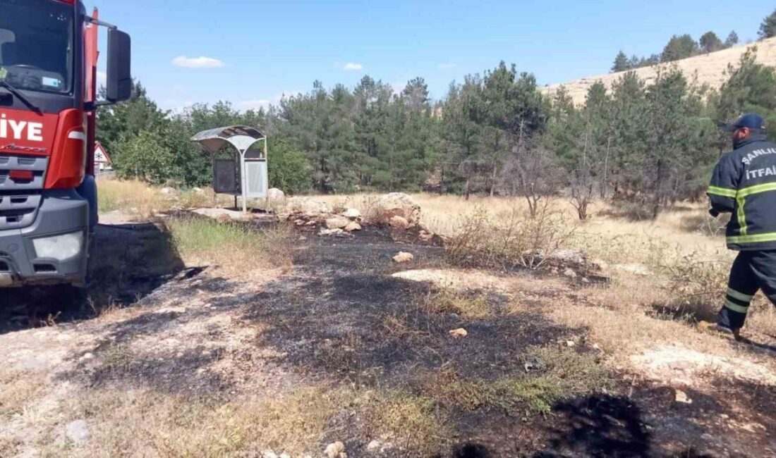 Şanlıurfa’da, Karaköprü ilçesine bağlı Küçükalanlı kırsal Mahallesi yakınlarında ormanlık alanda
