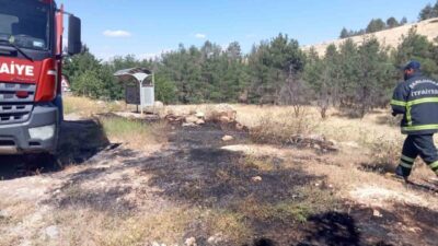 Şanlıurfa’da, Karaköprü ilçesine bağlı Küçükalanlı kırsal Mahallesi yakınlarında ormanlık alanda
