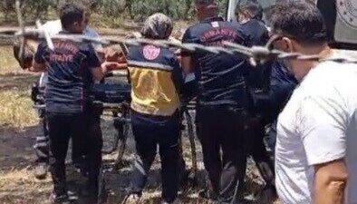 Osmaniye ilinde çıkan anız yangını, meyve bahçelerine yayılarak birçok meyve