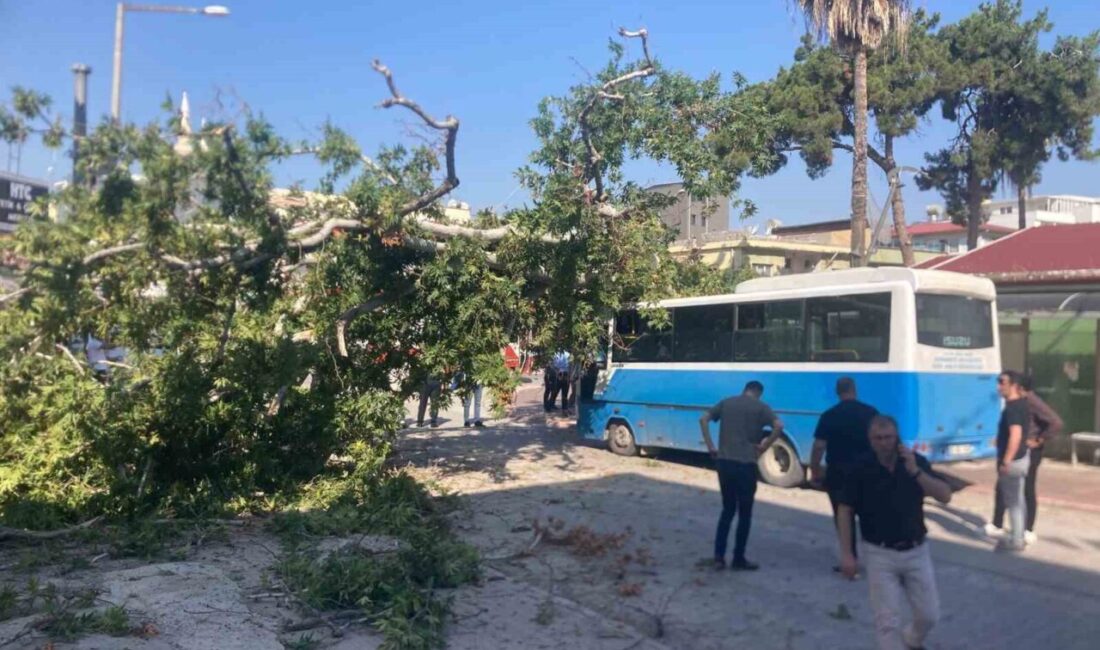 Osmaniye’de bir özel halk otobüsü, yolcu almak için durakta beklerken
