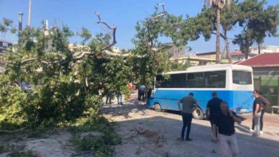 Osmaniye’de bir özel halk otobüsü, yolcu almak için durakta beklerken