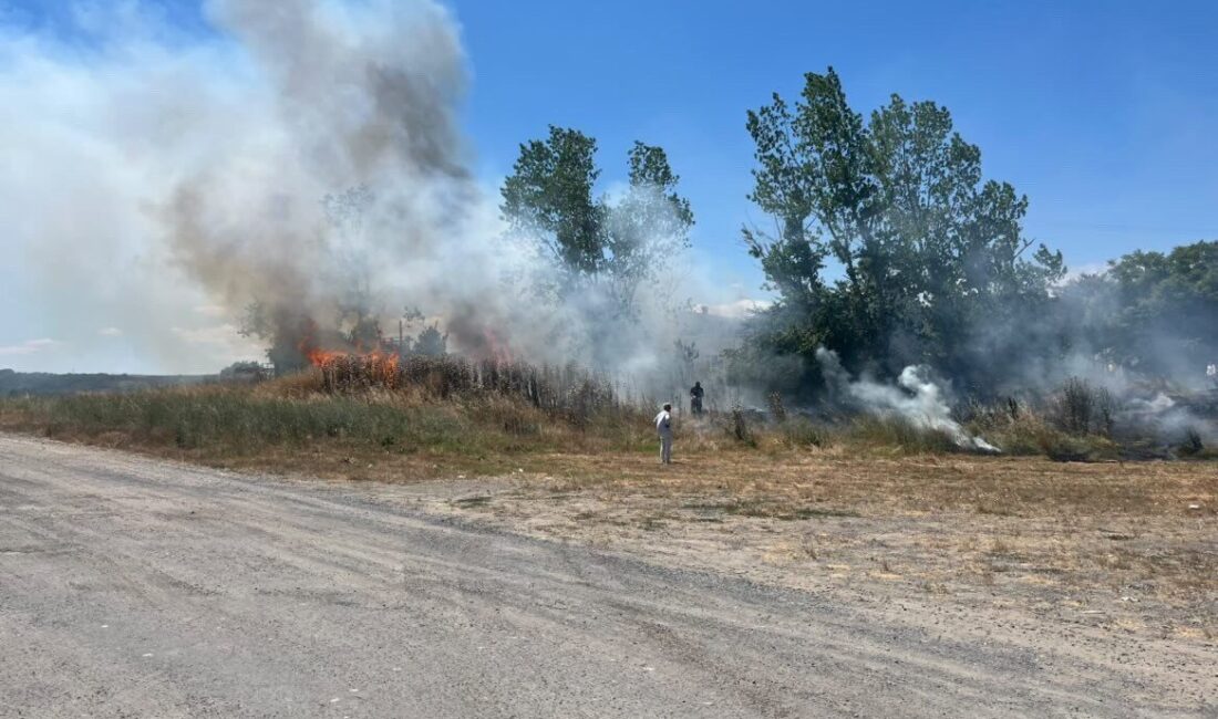 Muratlı ilçesindeki otluk alanda meydana gelen yangın, hızla büyümeden kontrol