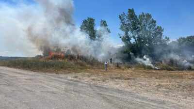 Muratlı ilçesindeki otluk alanda meydana gelen yangın, hızla büyümeden kontrol