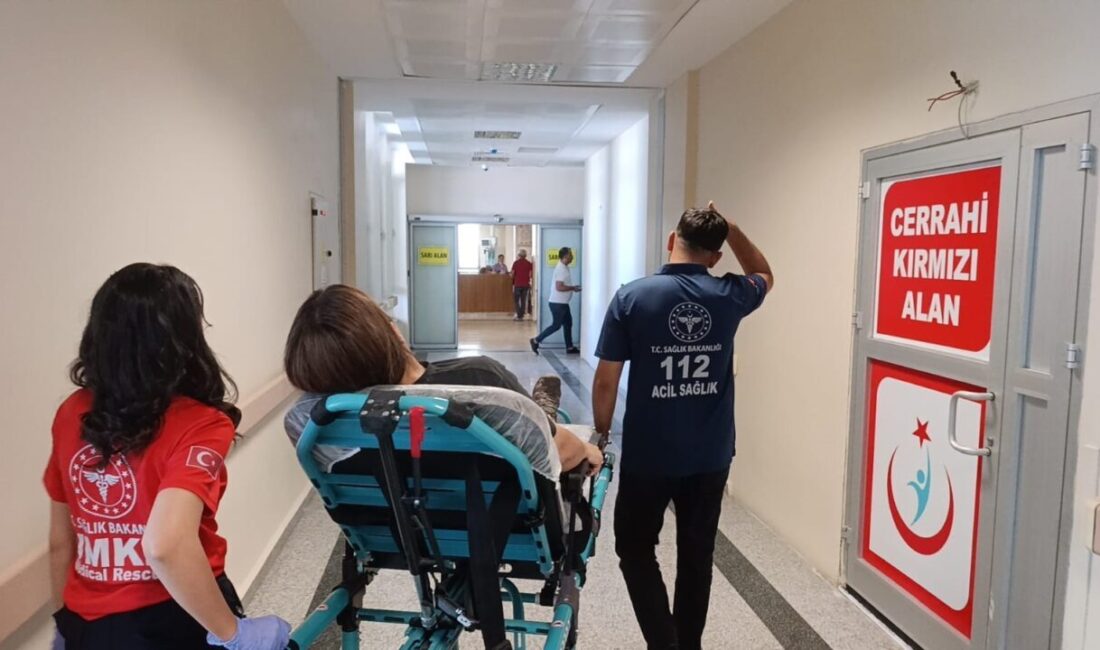Adıyaman’da bir sürücü, kediye çarpmamak için direksiyonu kırarak otomobilini şarampole