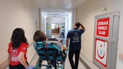 Adıyaman’da bir sürücü, kediye çarpmamak için direksiyonu kırarak otomobilini şarampole