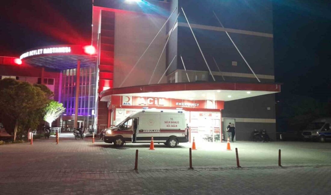 Konya’nın Karapınar ilçesinde meydana gelen trafik kazasında otomobil, yola çıkan