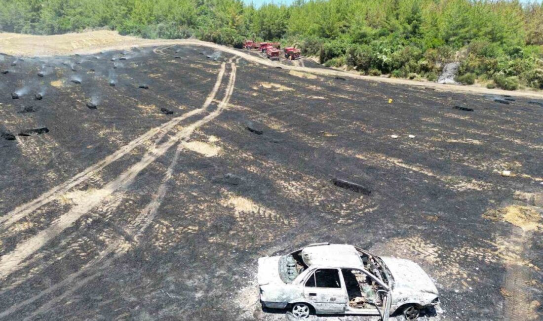 Adana’nın İmamoğlu ilçesinde, Hacıhasanlı Mahallesi’nde park halindeki bir otomobilde başlayan