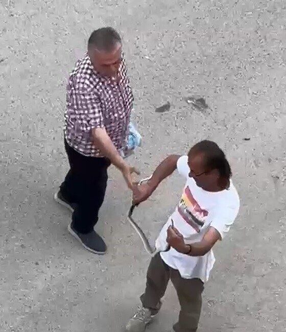 Sakarya’nın Kaynarca ilçesinde, bir evin içine giren yılan, belediye ekipleri