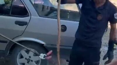 Malatya’nın Yazıhan ilçesinde bir bahçede park halinde bulunan bir araca