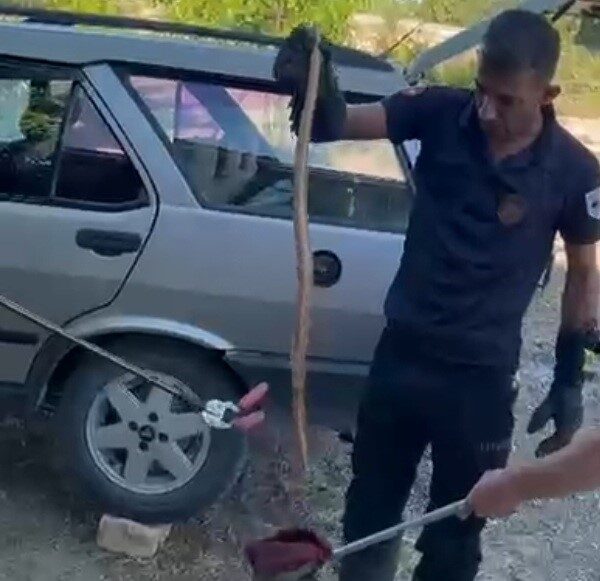 Malatya’nın Yazıhan ilçesinde bir bahçede park halinde bulunan bir araca